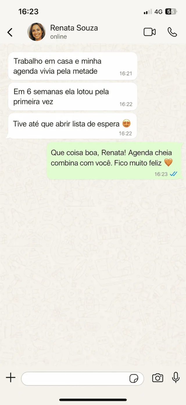 Depoimento de Renata Souza no WhatsApp