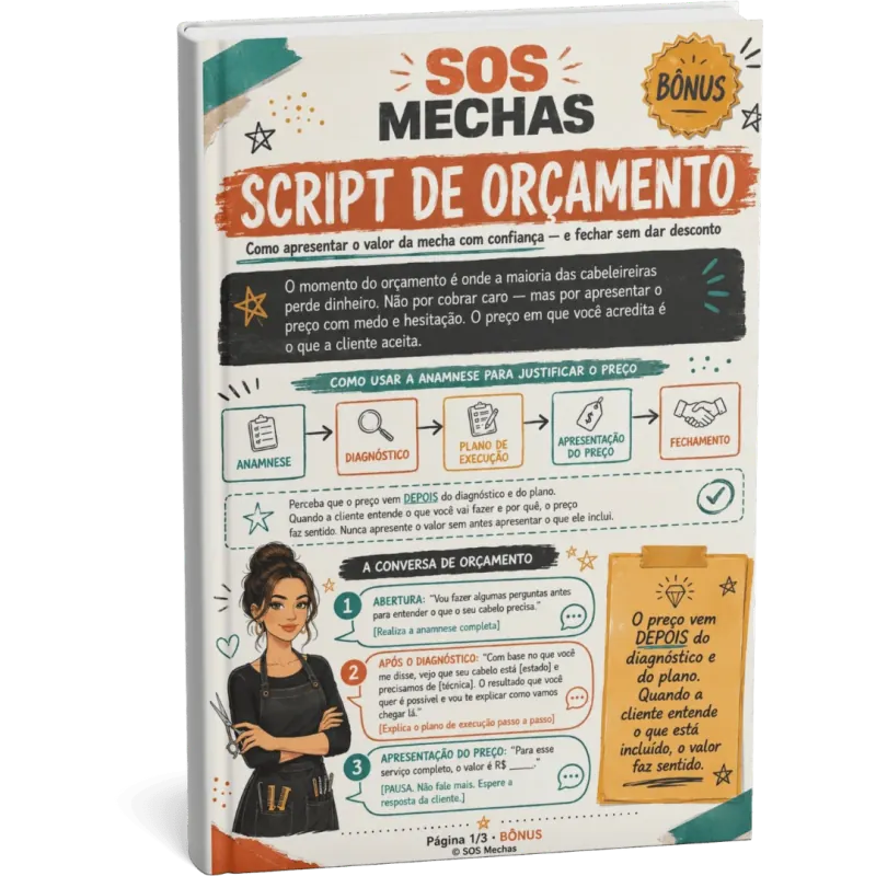 Script de Apresentação de Orçamento